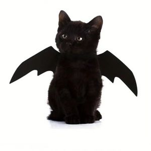 NWT Bat Wings For Your Cat Or Small Dog